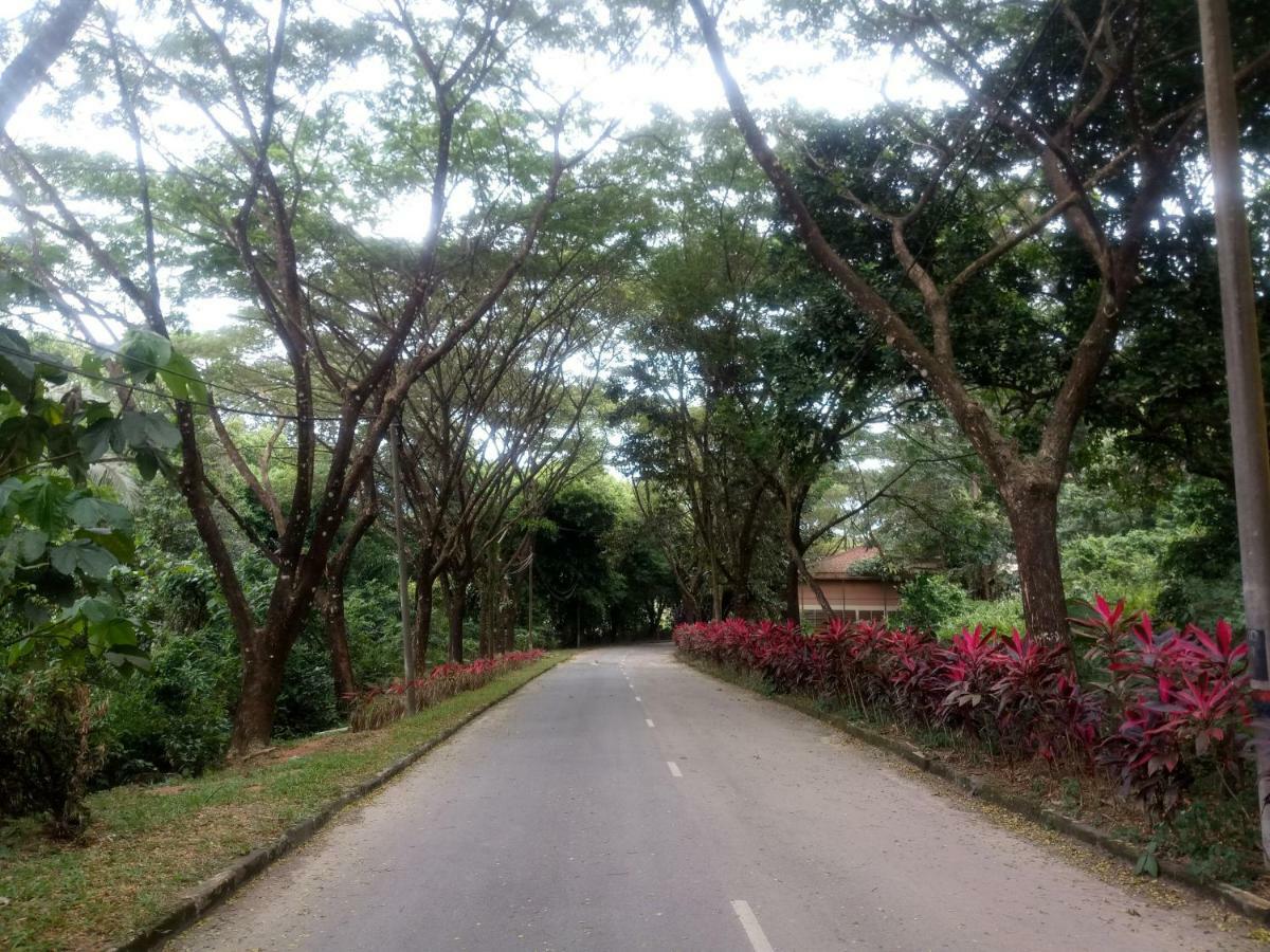 Janaview Taiping Hotel Buitenkant foto