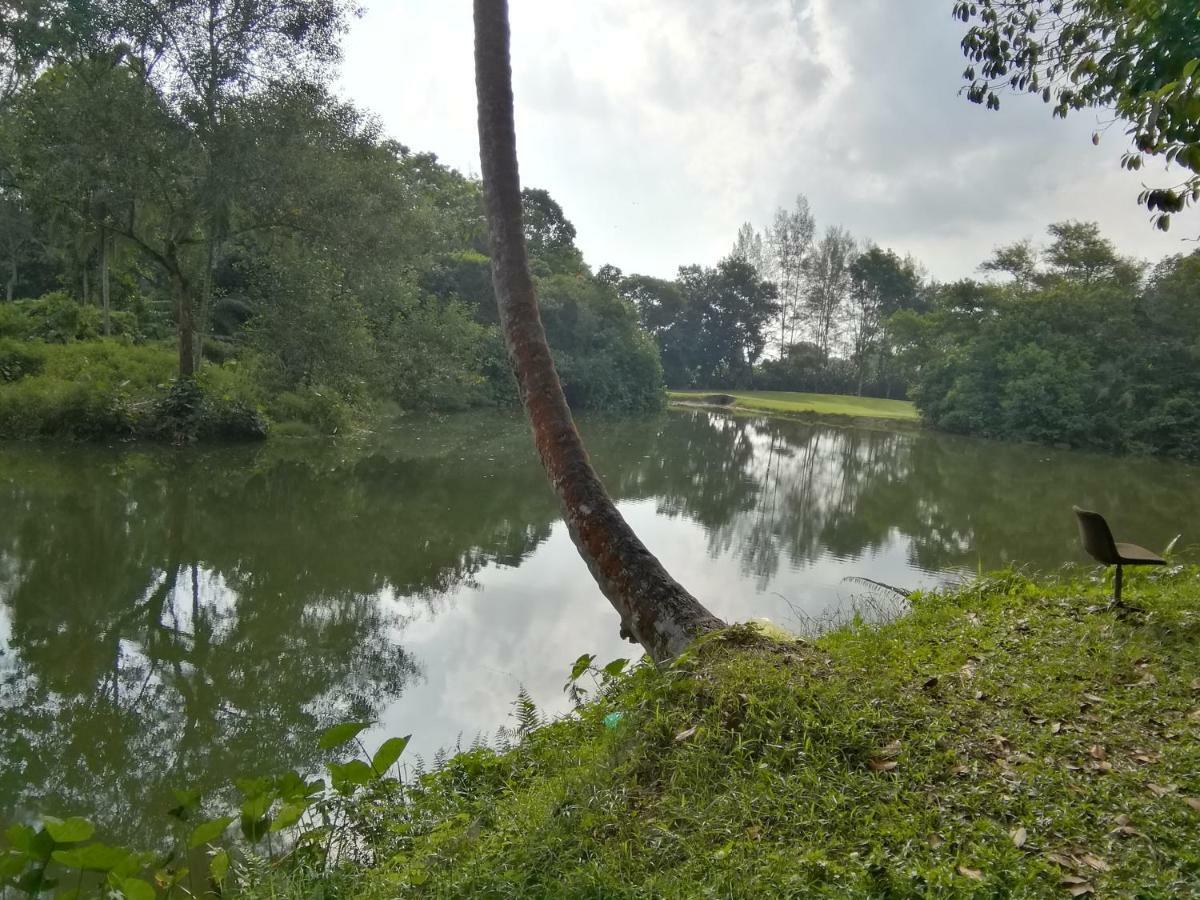 Janaview Taiping Hotel Buitenkant foto